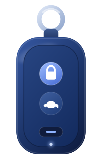 Car key fob